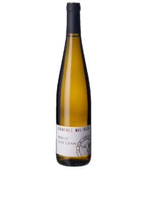 Malidain Muscat